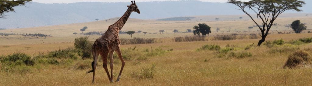 Best cultural trips for families