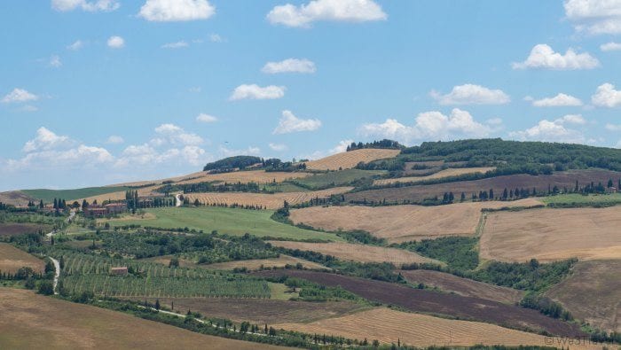 Tuscan hillside