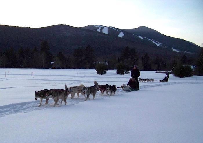 Dog sledding at Waterville Valley