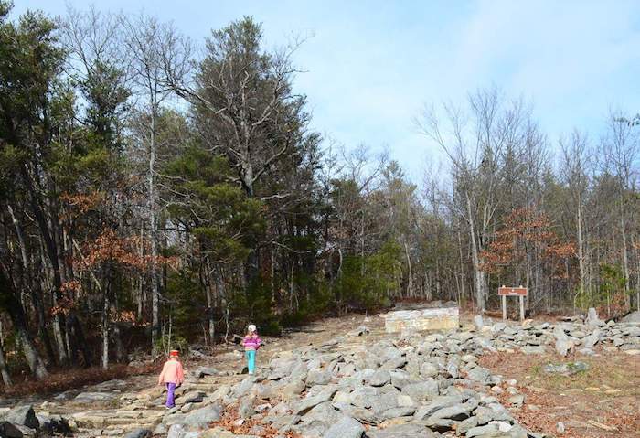 Hiking in Ellijay