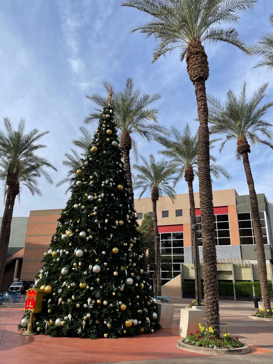 Christmas tree in Tempe AZ
