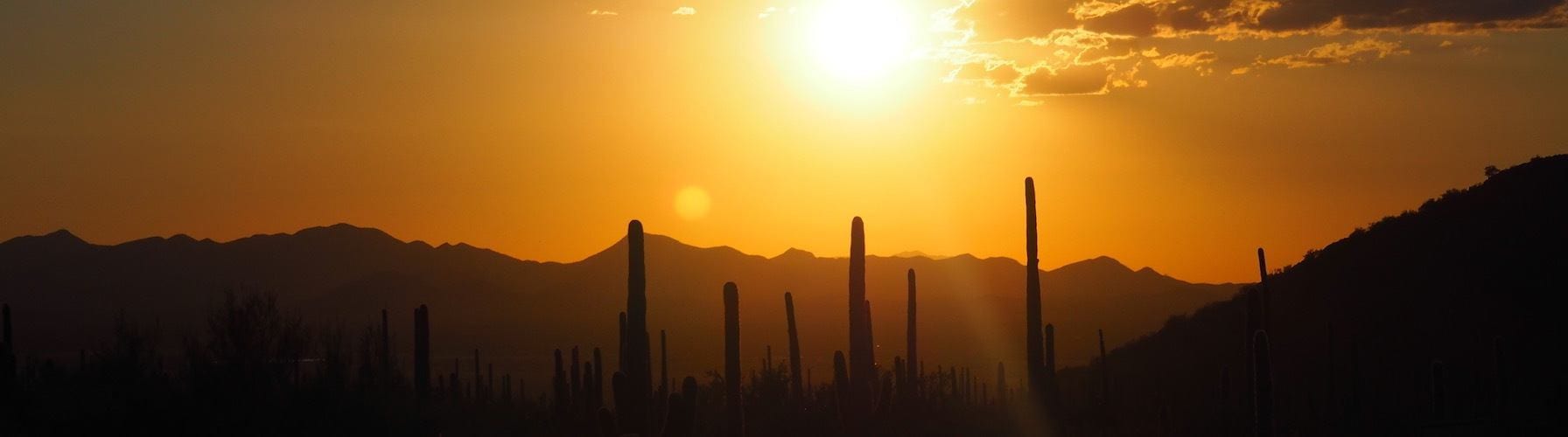 Tucson desert sunset