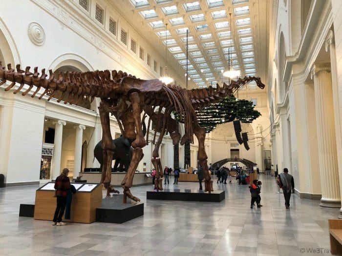 Field Museum Chicago