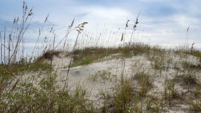 Great Dunes Park beach Jekyll Island