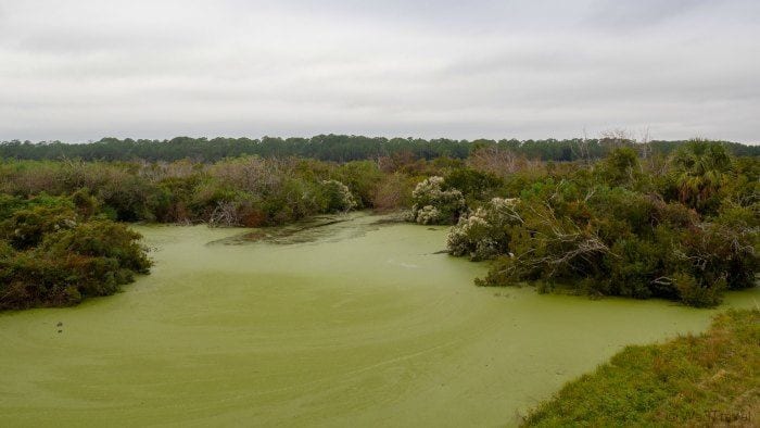 Norm's Pond