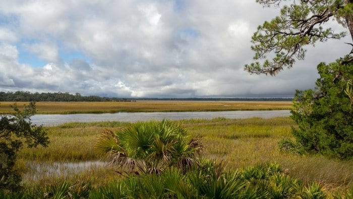 Little St. Simons Island view