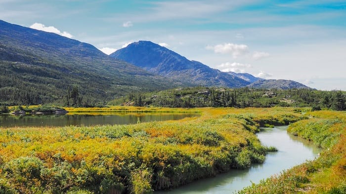 river fields and mountains in Fraser British Columbia