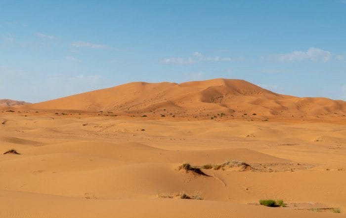 Sahara dunes