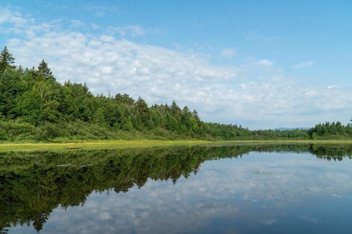 Second Roach Pond in Maine