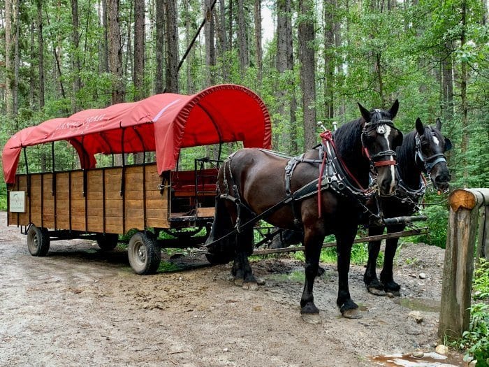 Cowboy cookout horse and wagon