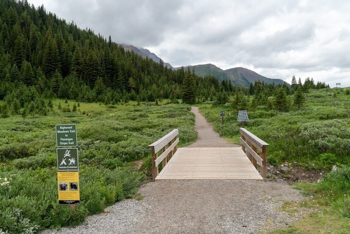 Highwood Meadows Trail