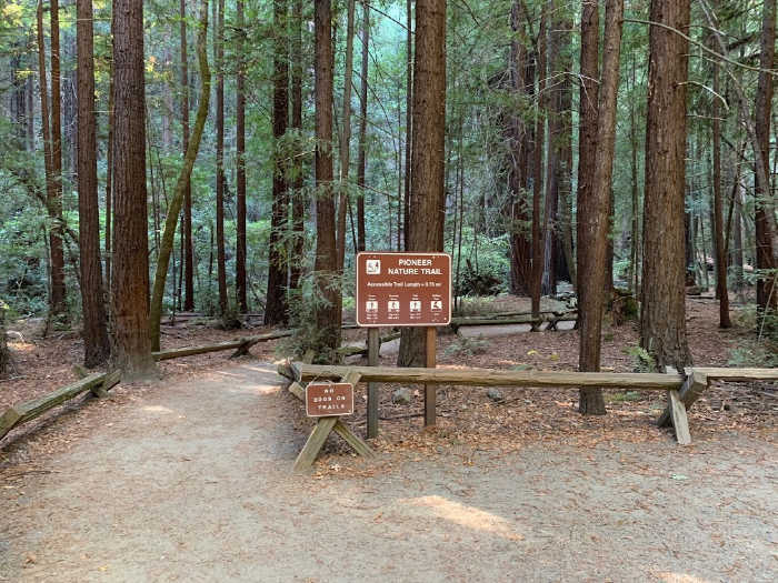 Armstrong woods pioneer nature trail