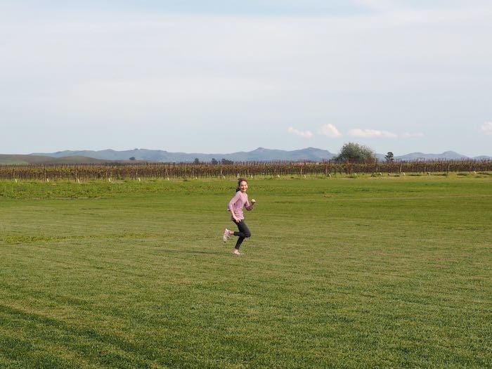 Running through the fields in Sonoma