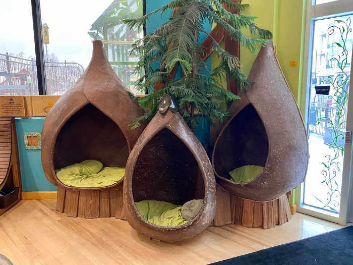 Madison Children's Museum wildernest pods