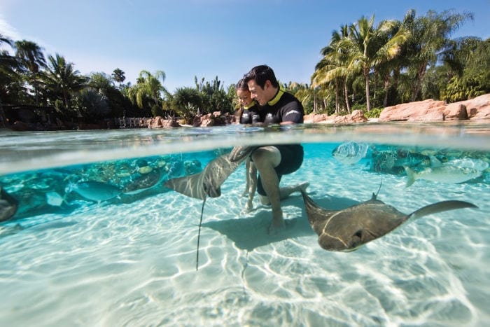 Dad and daughter in water with Stingrays