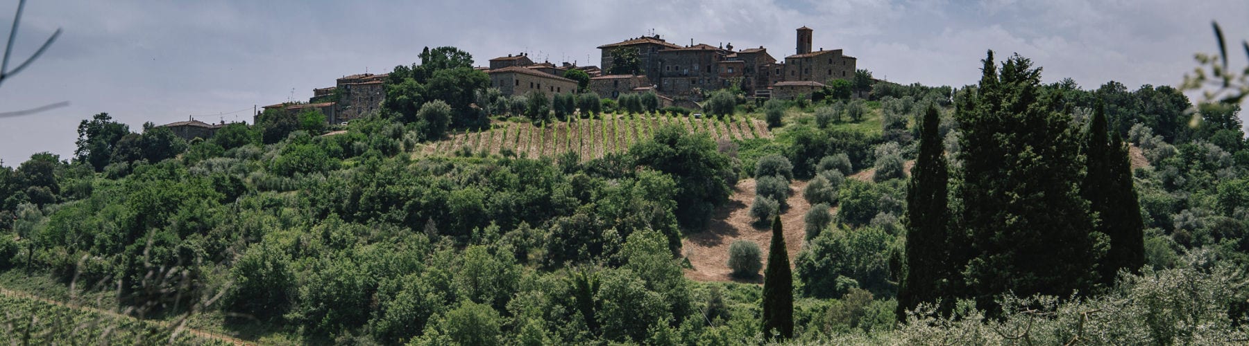 Tuscan countryside by Abbey di Sant'Antimo
