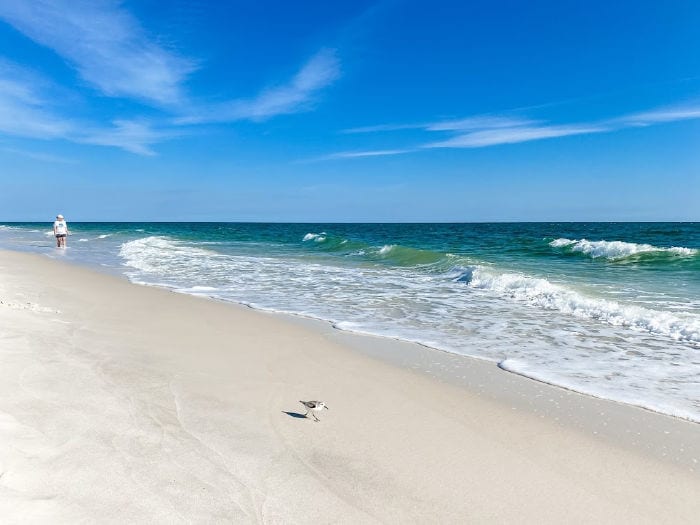 Gulf state park beach