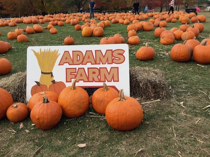 Adams Farm Cumberland RI