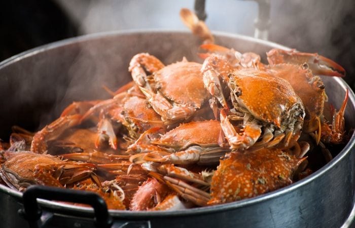 Crabs in a pot