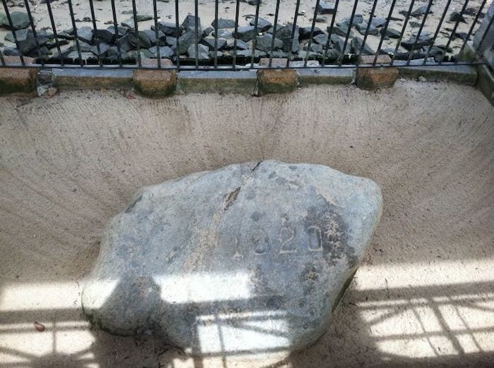 Plymouth Rock