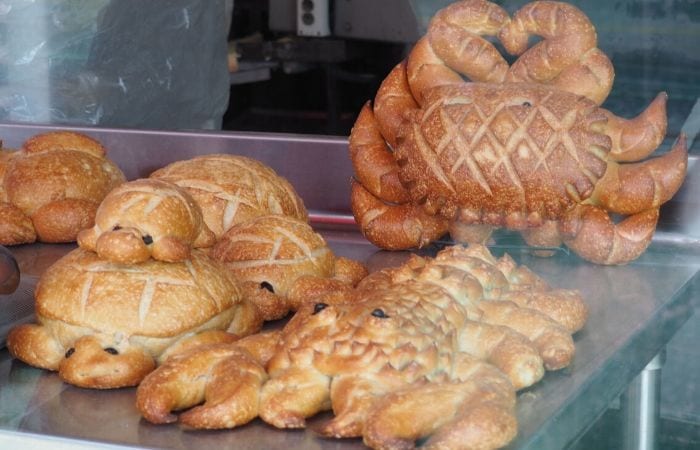 sourdough bread shaped like turtles and crabs