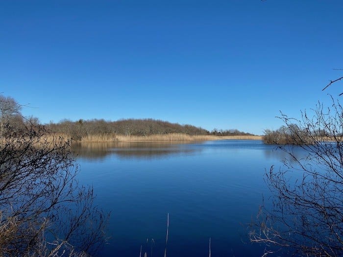 Trustom Pond lagoon