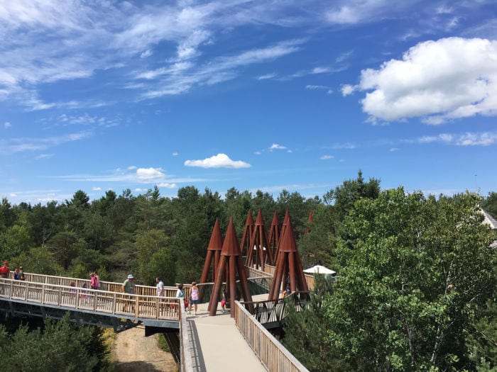 Wild Walk at the Wild Center