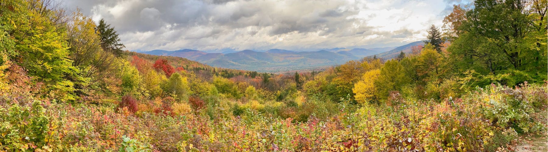 Fall foliage at Bear Notch Road overlook in the White Mountain National Forest