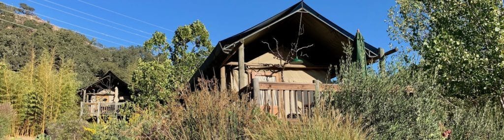 Safari west glamping tents