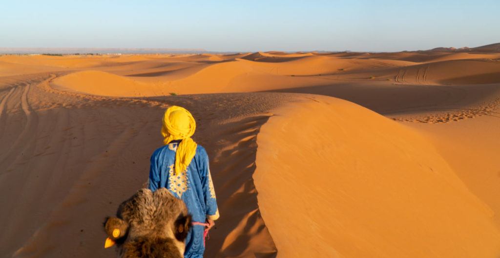 Guide with blue cloak and yellow turban leading camel through Sahara desert dunes