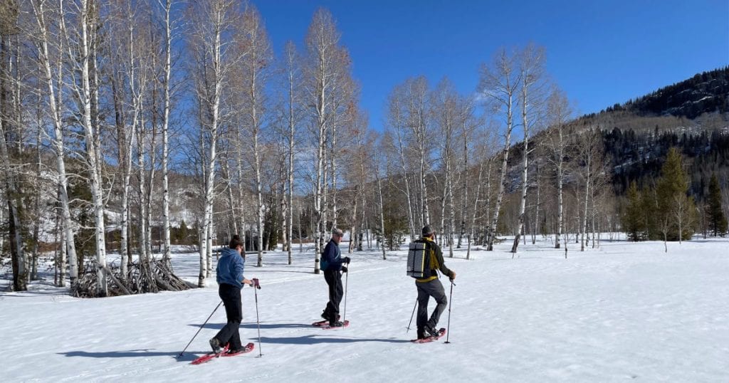 three people snowshoeing with aspen trees in the background