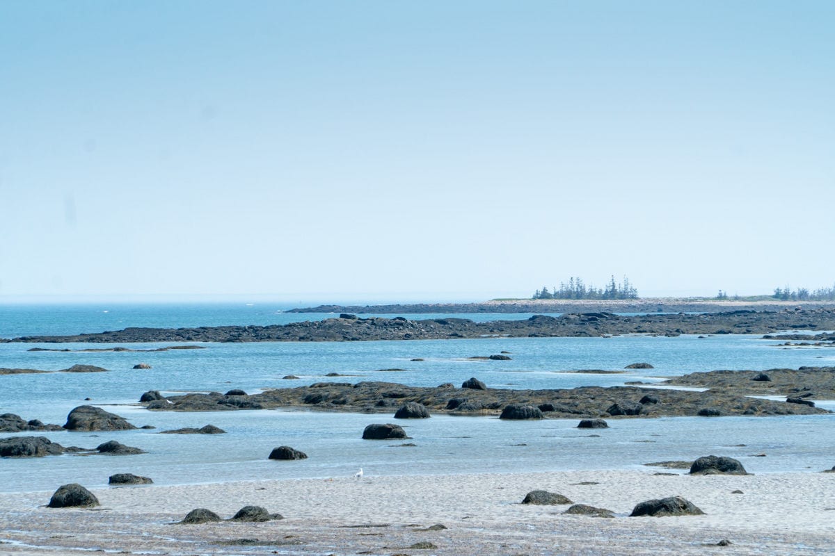 Rocks in the water with trees in the distance at Petit Manan Wildlife Refuge