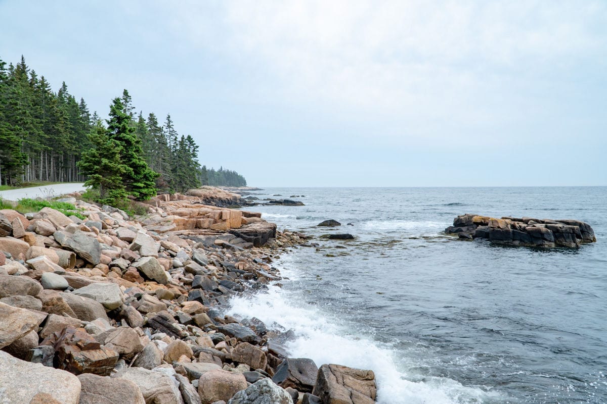 Rocky coast and pine trees on the Schoodic Peninsula