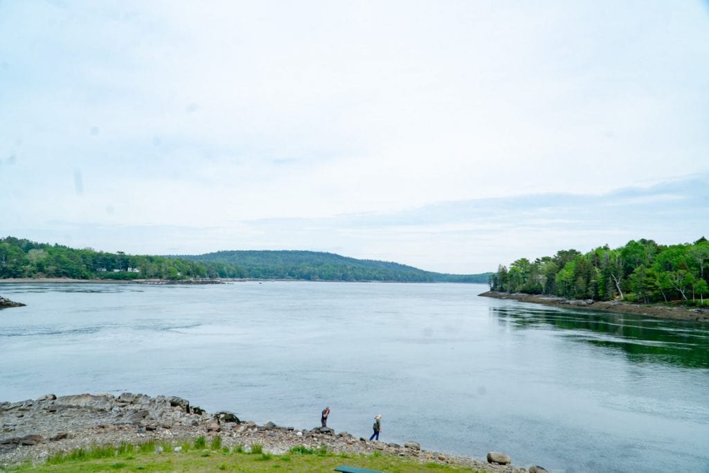 Reversing falls at Tidal Falls Preserve