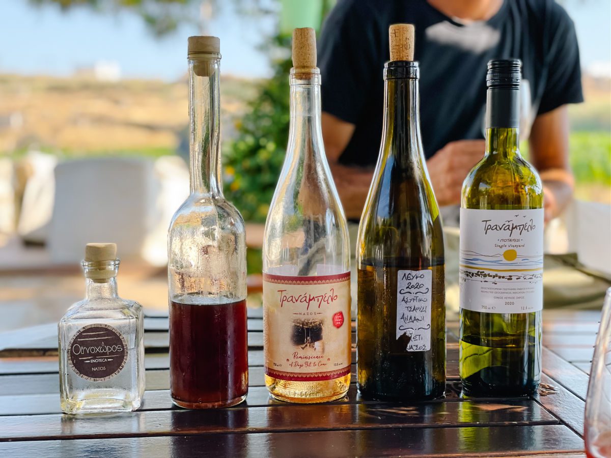 Wine tasting bottles