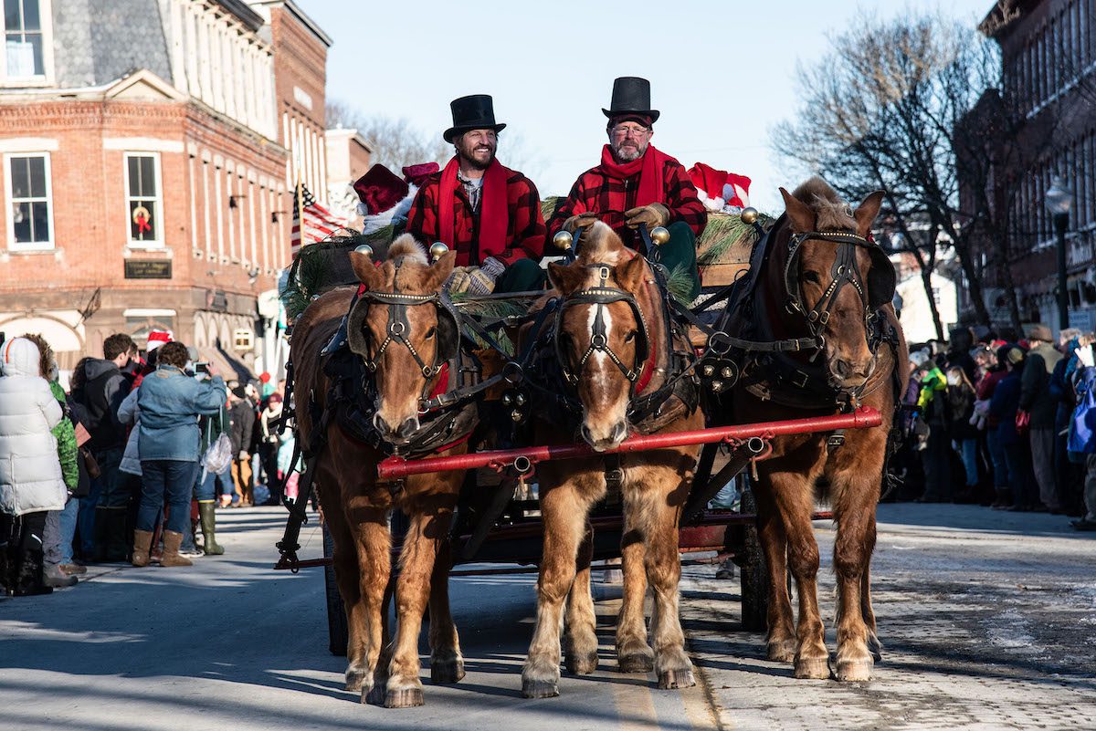 Horse drawn carriage in parade