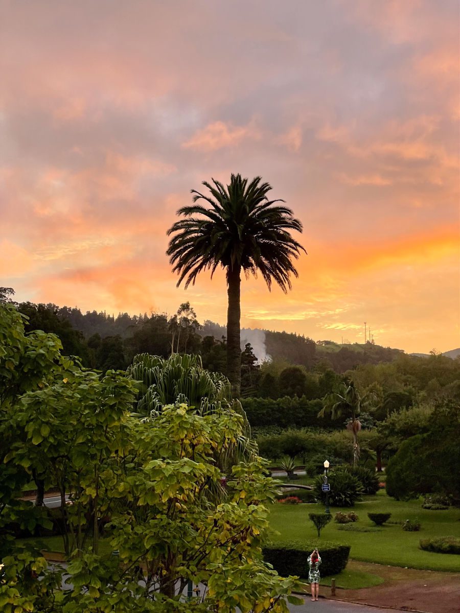 Sunset with a palm tree at the Furnas Boutique Hotel