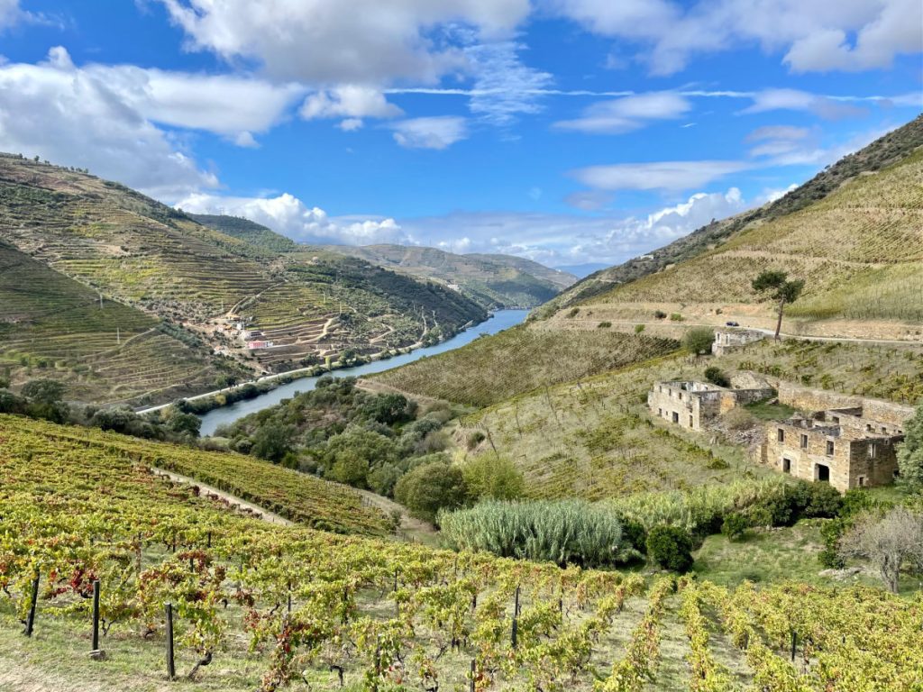 Douro River Valley with abandoned buildings in vineyard