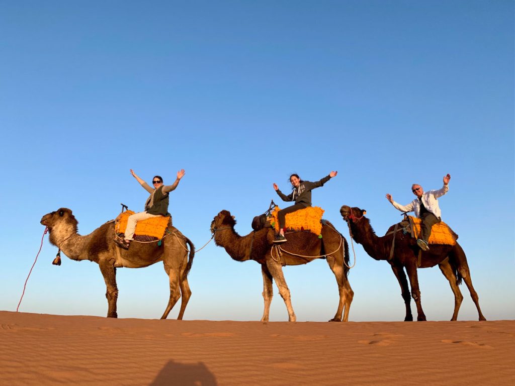 Grubers on Camels