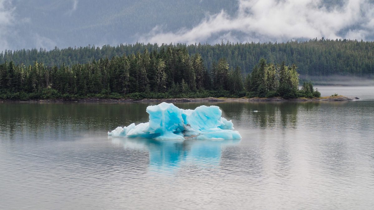 Iceberg in water in front of land with pine trees