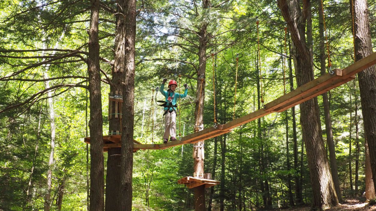 Ramblewild tree top adventure course