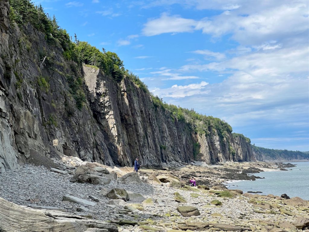 Cliffs at Cape Enrage