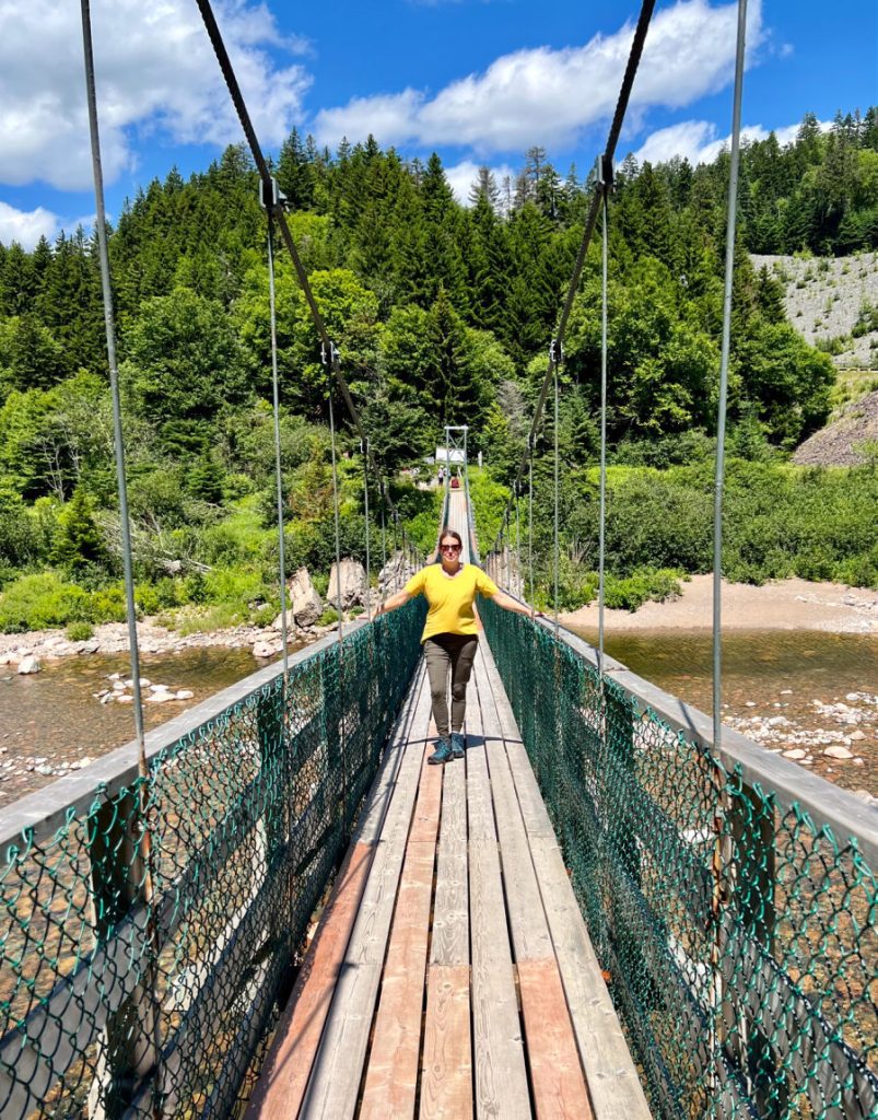 Fundo Grande Rio De Salmões Em Fundy Trail Parkway Grande Trilha