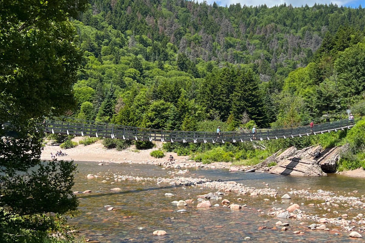 Fondo Gran Puente Sobre El Río Salmón En Fundy Trail Parkway Foto