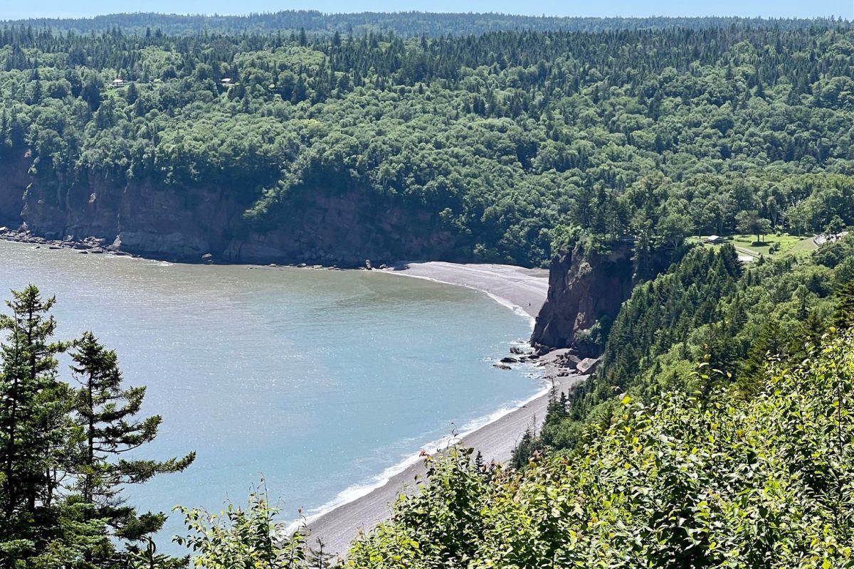 Fundo Grande Rio De Salmões Em Fundy Trail Parkway Grande Trilha