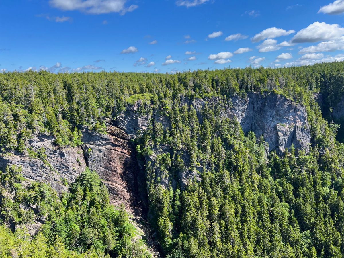 Fundo Grande Rio De Salmões Em Fundy Trail Parkway Grande Trilha