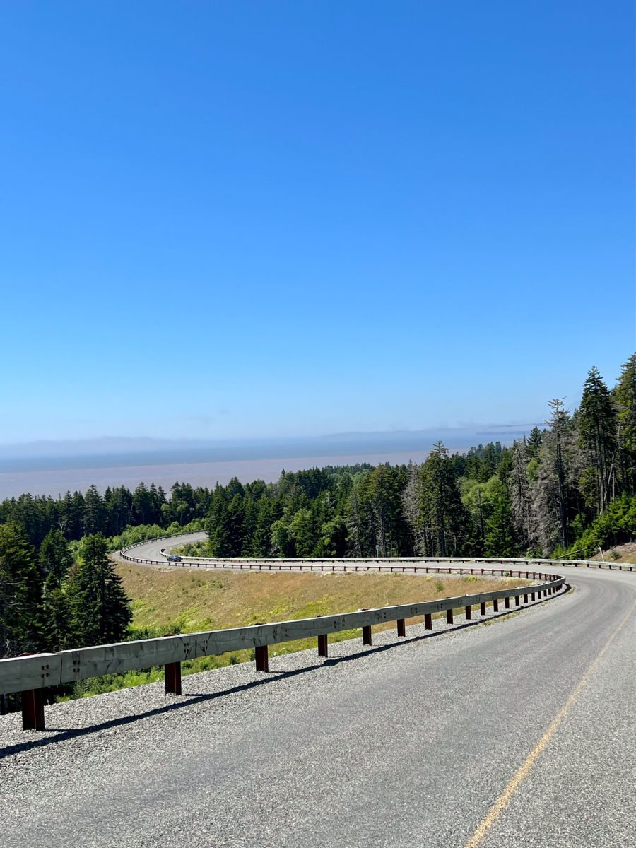 Fundy Trail Parkway curves in road