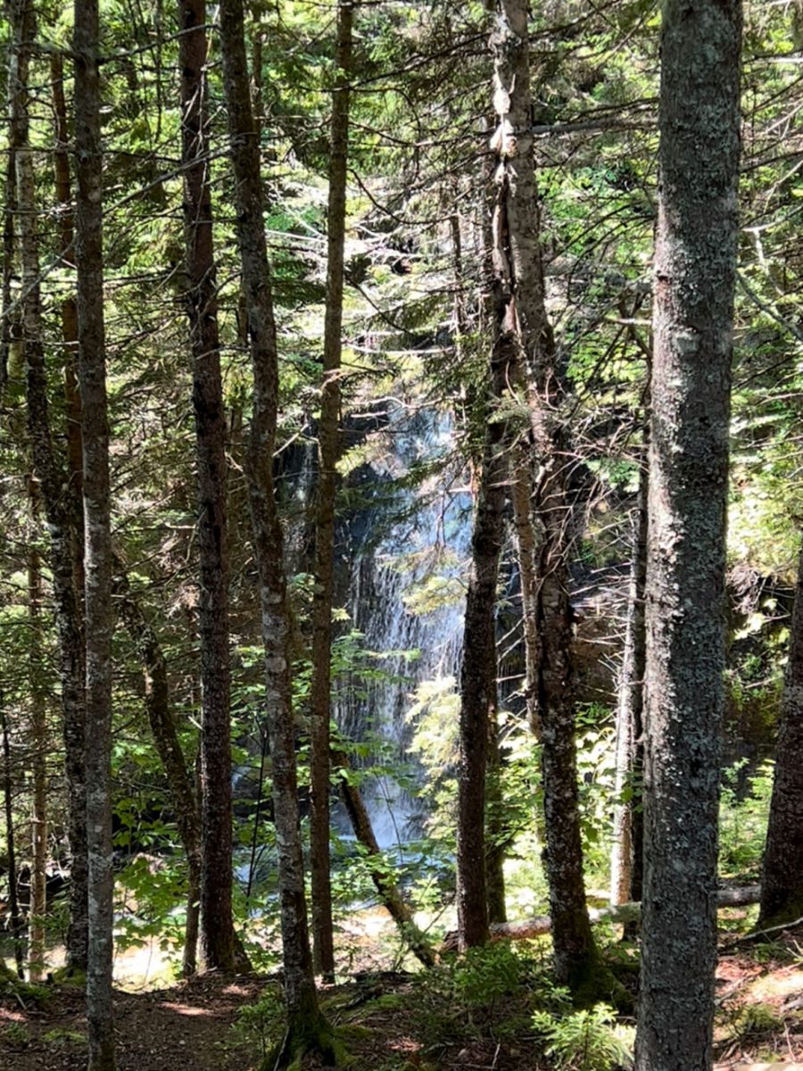 Fundo Grande Rio De Salmões Em Fundy Trail Parkway Grande Trilha