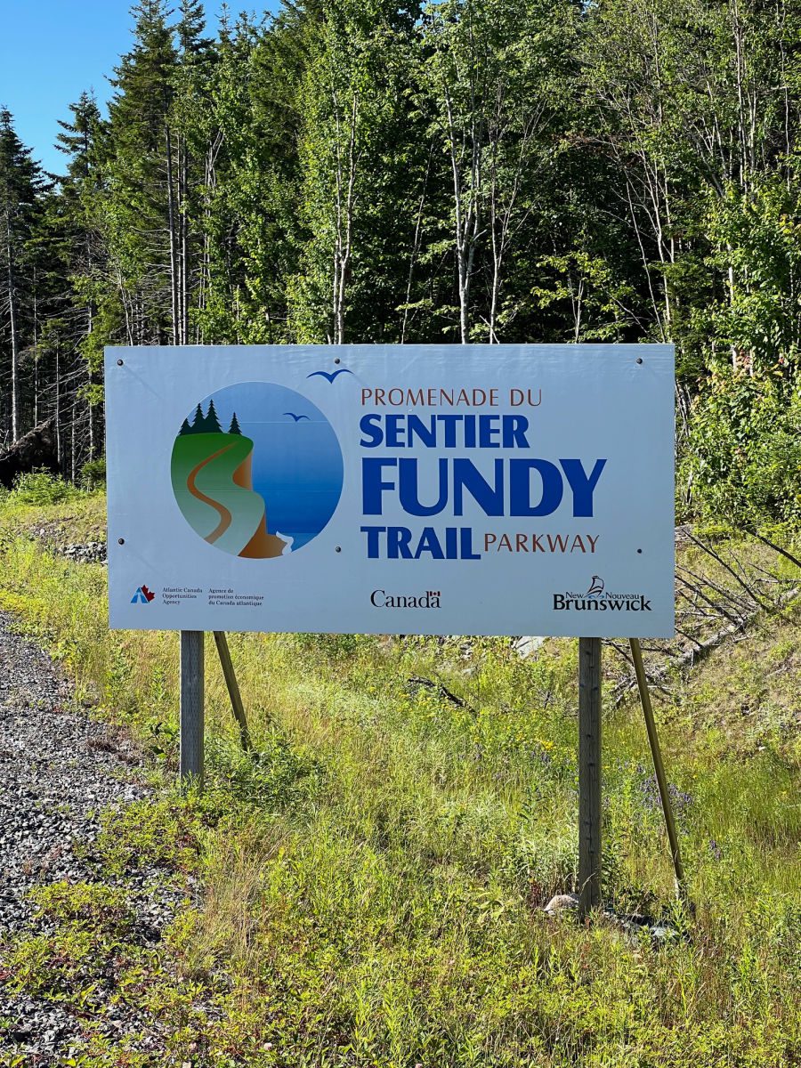 Fundo Grande Rio De Salmões Em Fundy Trail Parkway Grande Trilha