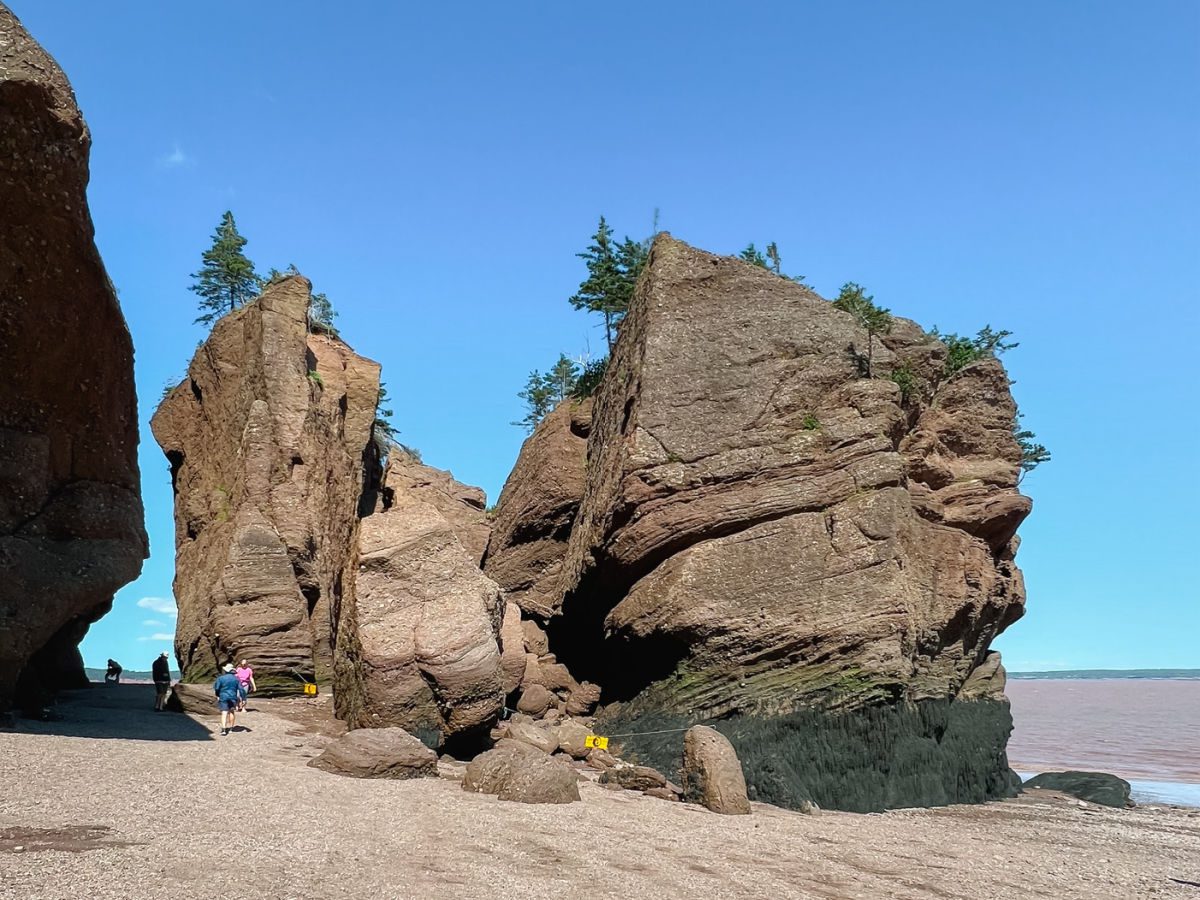 Elephant Rock at Hopewell Rocks